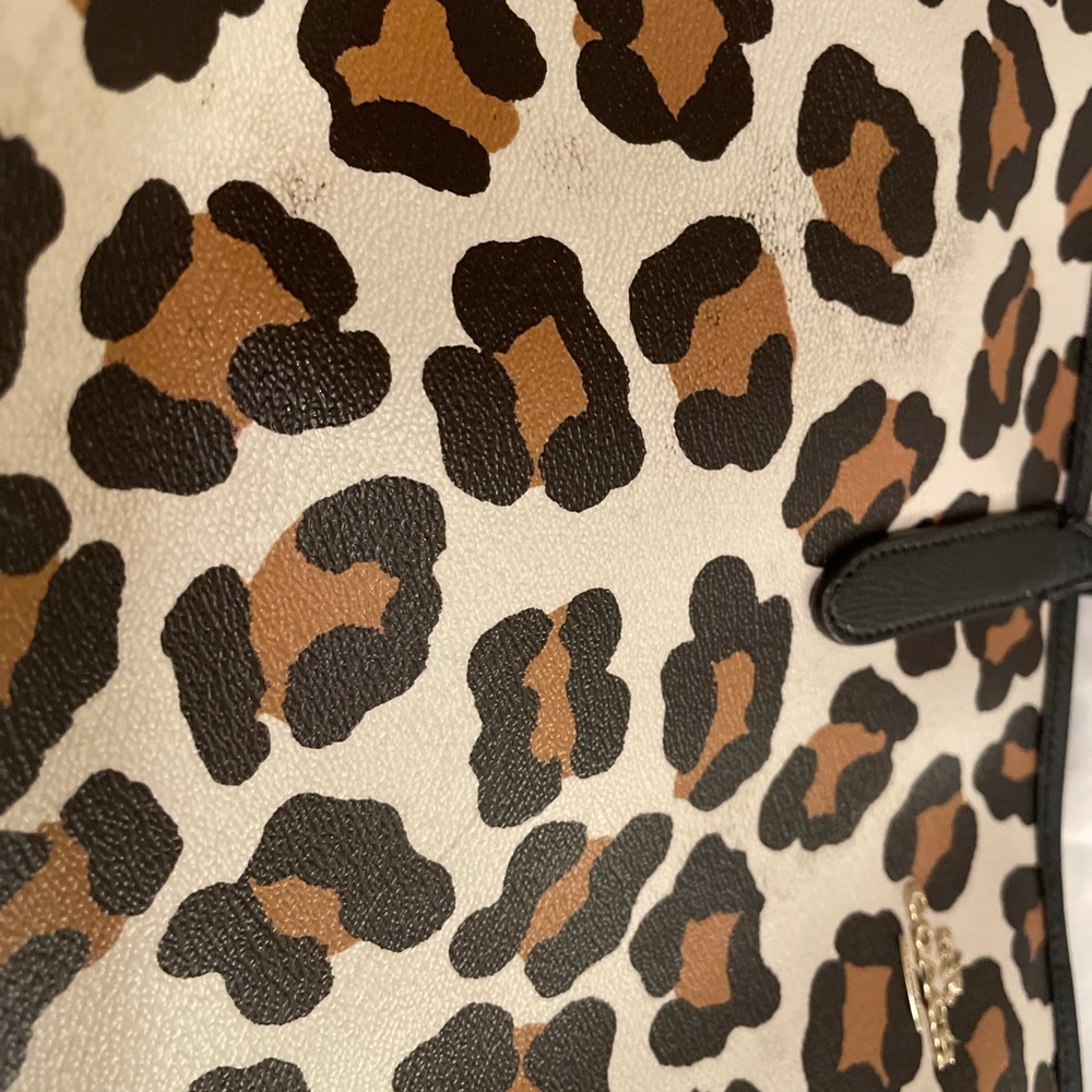 Authentic Coach - Picture 5 of 6